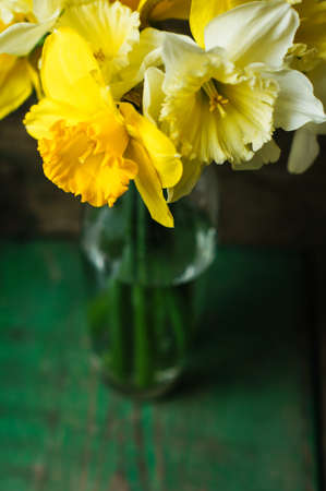 Spring yellow daffodil flowers in a vase on the old wooden tableの写真素材