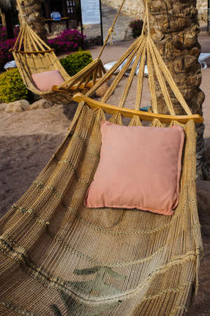 Hammock on the tropical beach in the sunlightの写真素材