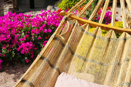 Hammock on the tropical beach in the sunlightの写真素材