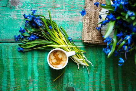 scilla siberica flowers in a vase and cup of coffee in rustic interiorの写真素材