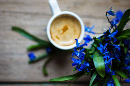 scilla siberica flowers in a vase and cup of coffee in rustic interiorの写真素材