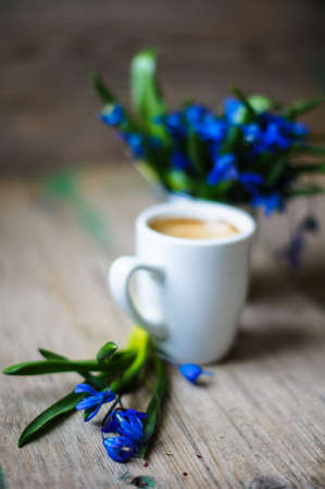scilla siberica flowers in a vase and cup of coffee in rustic interiorの写真素材