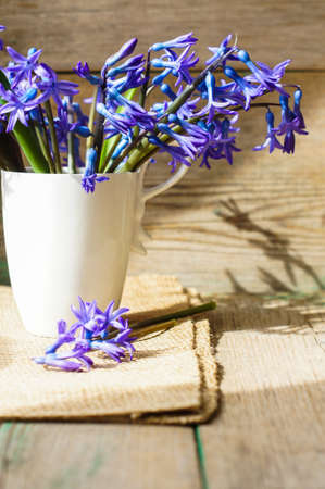 Blue hyacinths in the vase on the wooden table on burlap napkinの写真素材