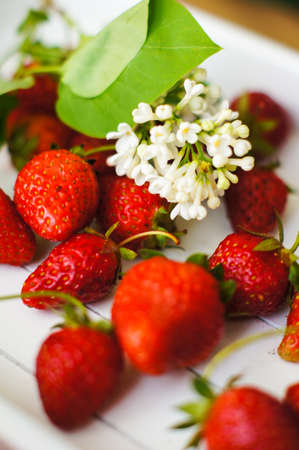 Fresh strawberries and white lilac flowers on the old wooden tableの写真素材