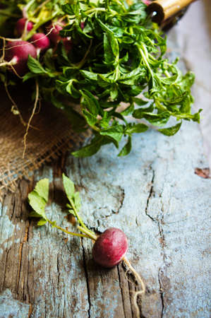 Fresh radish vegetable on wooden backgroundの写真素材