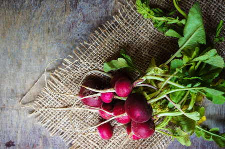 Fresh radish vegetable on wooden backgroundの写真素材