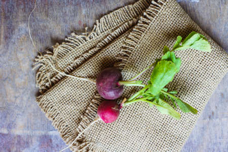 Fresh radish vegetable on wooden backgroundの写真素材
