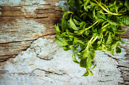 Fresh radish vegetable on wooden backgroundの写真素材