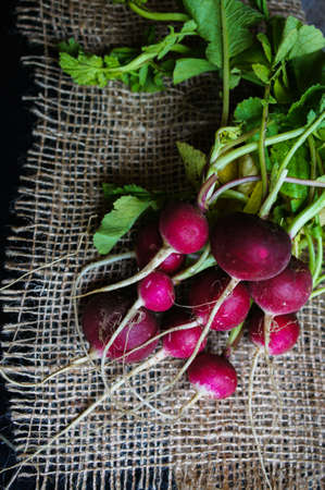 Fresh radish vegetable on wooden backgroundの写真素材