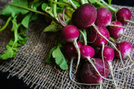 Fresh radish vegetable on wooden backgroundの写真素材