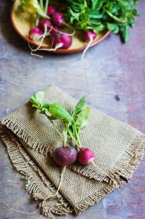 Fresh radish vegetable on wooden backgroundの写真素材