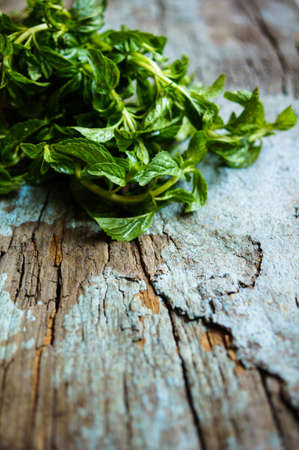 Fresh radish vegetable on wooden backgroundの写真素材