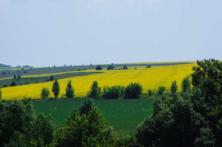 Ukrainian rural landscape with lowering wheat fieldsの写真素材