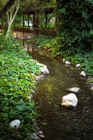 Creek in the tropical carden with little wooden bridgeの写真素材