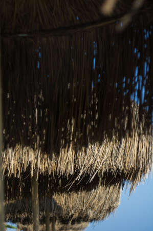 Colorful beach umbrella against the sun lightの写真素材