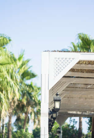 Colorful beach umbrella against the sun lightの写真素材