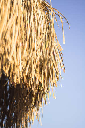 Colorful beach umbrella against the sun lightの写真素材