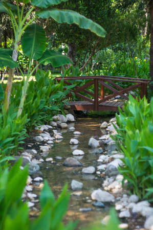 Creek in the tropical carden with little wooden bridgeの写真素材