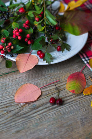 Rustic autumnal table setting with yellow leaves and berries