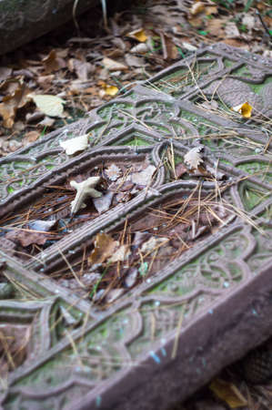 Ancient armenian cross relief with water and fallen autumnal leaves in Tbilisi, Georgiaの写真素材