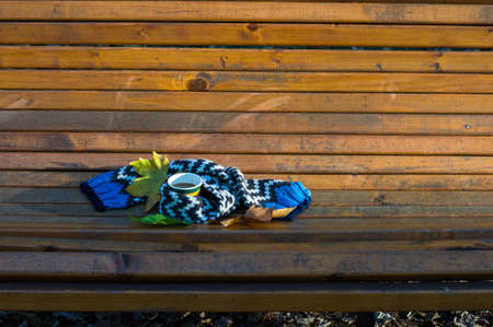 Cup of coffee with knitted scarf and yellow autumnal leaveas on the park benchの写真素材
