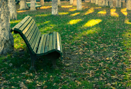 Old wooden bench with no people in the bright autumnal parkの写真素材