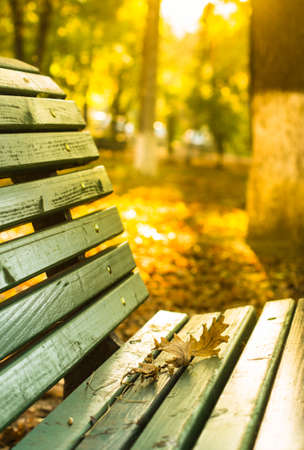 Old wooden bench with autumn leaves in the bright autumnal parkの写真素材