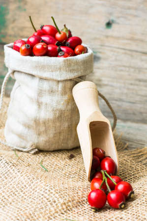 Ripe rose hips in burlap bag on the rustic backgroundの写真素材