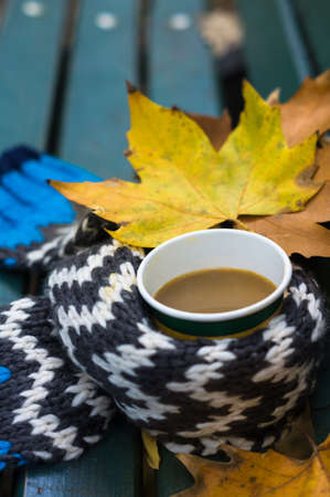 Cup of coffee with knitted scarf and yellow autumnal leaveas on the park benchの写真素材