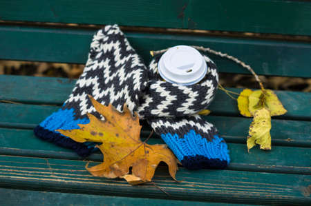 Cup of coffee with knitted scarf and yellow autumnal leaveas on the park benchの写真素材