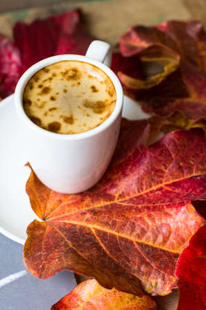 Cup of coffee and bright colors ivy plant leaves on wooden backgroundの写真素材