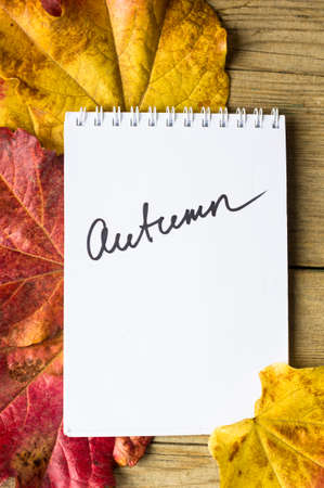 Note with Autumn word and bright colors ivy plant leaves on wooden backgroundの写真素材