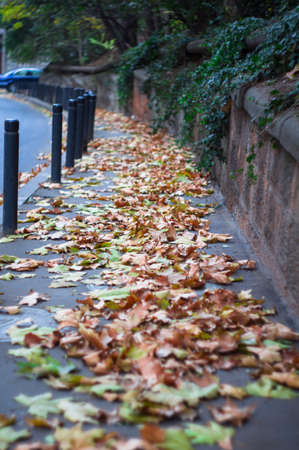 Autumnal street view somewhere in Old Tbilisi, Georgia