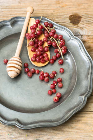Ripe gojy berries on the bush branch on vintage plateの写真素材
