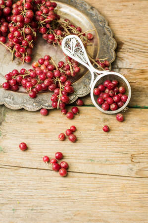 Ripe gojy berries on the bush branch on vintage plateの写真素材
