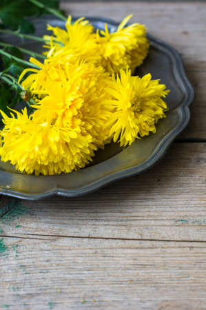 Bright yellow chrysanthemum as a element of autumna table setting on wooden rustic tableの写真素材