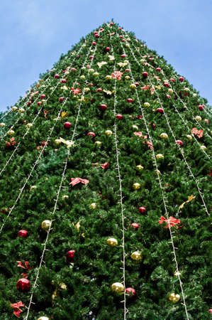 Christmas tree with lights on the main avenue of Tbilisi city, Rustaveli ave., in Georgiaの写真素材