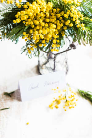 Bright yellow mimosa flowers in a vase on old rustic wooden tableの写真素材