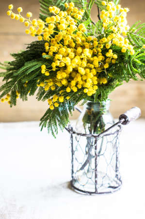 Bright yellow mimosa flowers in a vase on old rustic wooden tableの写真素材
