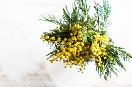 Bright yellow mimosa flowers in a vase on old rustic wooden tableの写真素材