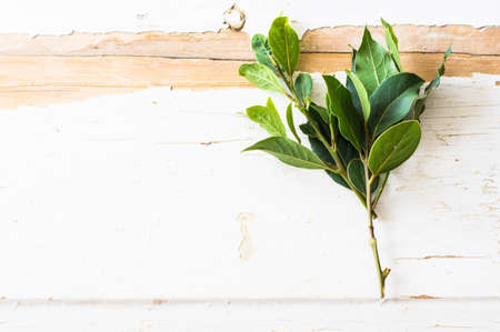 Bay leaves on rustic white wooden board