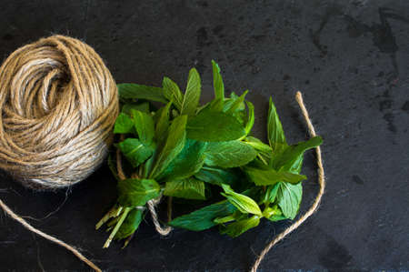 Fresh mint with rope on rustic background