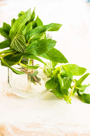 Fresh mint with rope on rustic backgroundの写真素材