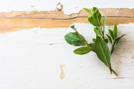 Bay leaves on rustic white wooden board