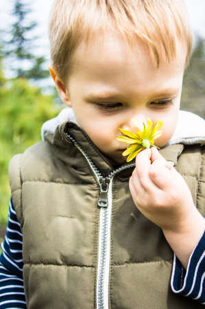 Little boy holding a yellow daisy in his hand  in the spring time forestの写真素材