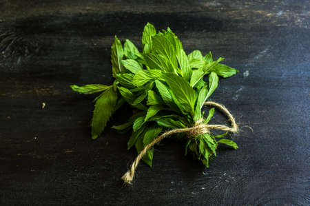 Fresh mint herb on dark wooden boardの写真素材