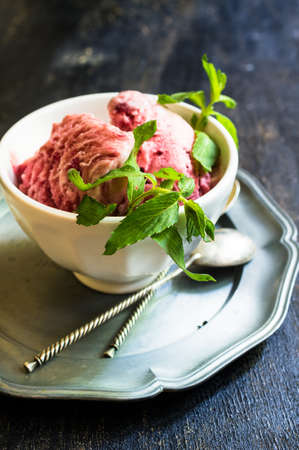 Fruit ice cream with fresh mint on rustic tableの写真素材