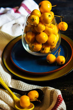Autumnal concept with crab apples on rustic background