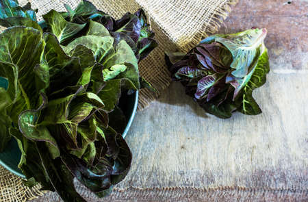 Ripe roman salad leaves on rustic tableの写真素材