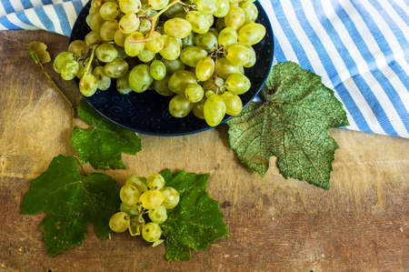 Fresh organic autumnal fruits and rustic plates on old wooden tableの写真素材